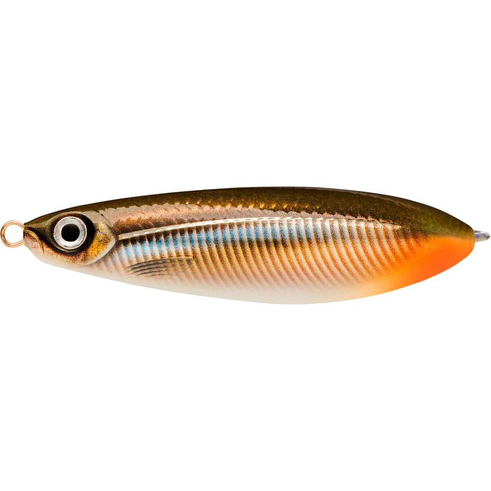 Minnow Spoon Rattlin 8 cm, Vasskyddat bete LIVE ROACH / 8 CM / 22 GRAM