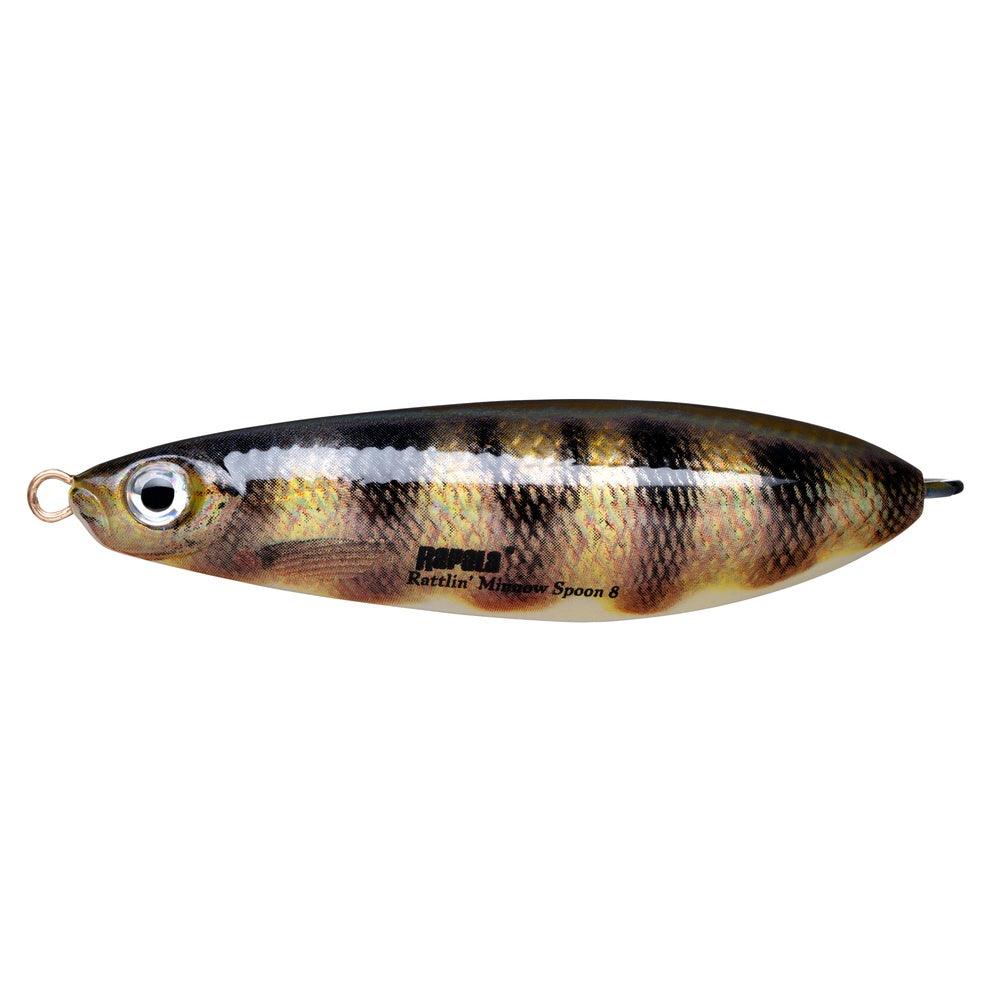 Minnow Spoon Rattlin 8 cm, Vasskyddat bete LIVE ROACH / 8 CM / 22 GRAM