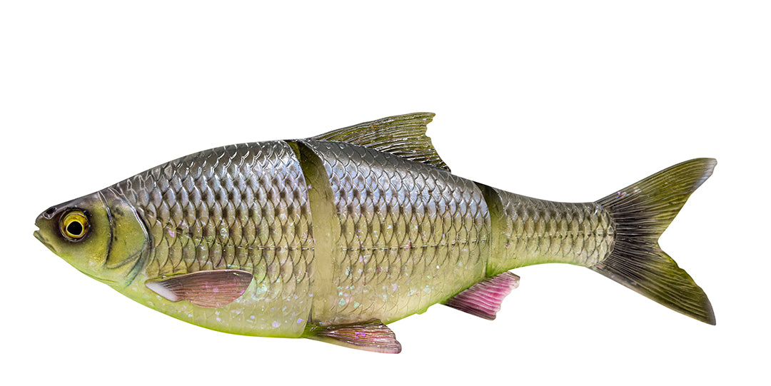 Line Thru Roach 25cm SS LEMON / 25 CM