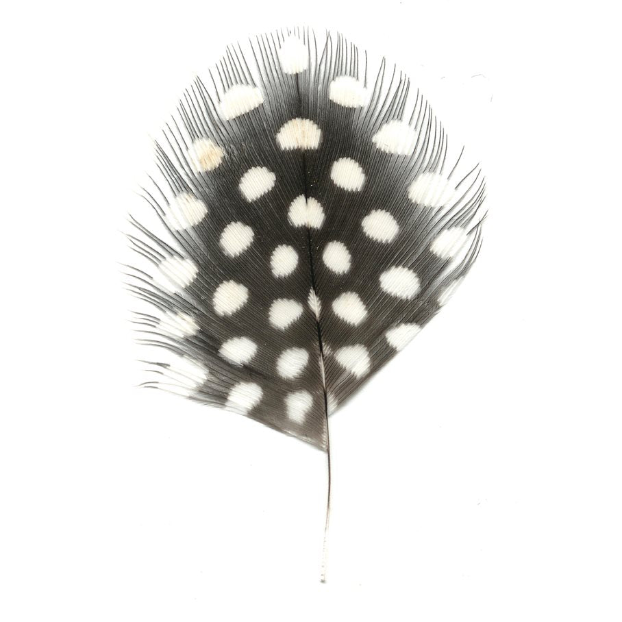 Pärlhöna Natur EN STL