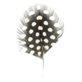 Pärlhöna Natur EN STL