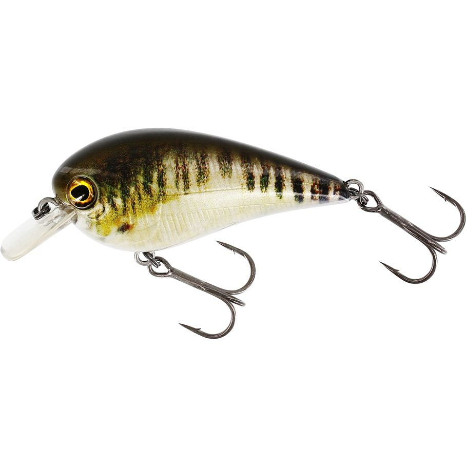 BassBite 1.5 Squarebill Wobbler REAL MINNOW / 6 CM / 13 GRAM FLYTANDE