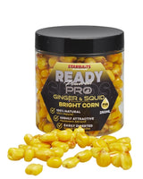 Ready Seeds Pro Bright Corn GINGER SQUID / 1 BURK 250 ML