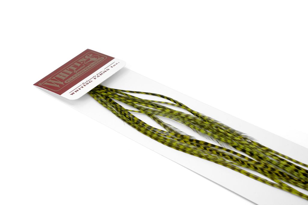 100 Pk GRIZZLY DYED OLIVE / #16