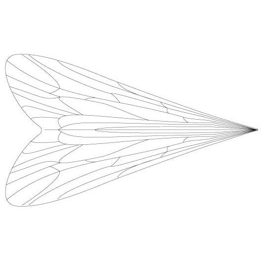 Pro Caddis Wings CLEAR / LARGE