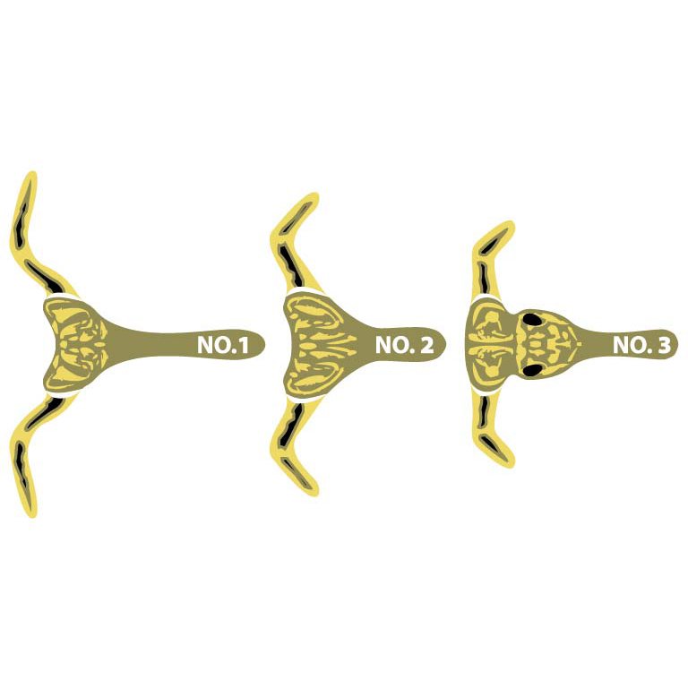 Pro Stonefly Kits OLIVE / SMALL