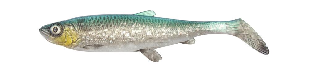 3D Herring Shad 25cm GREEN SILVER / 25 CM / 102 GRAM