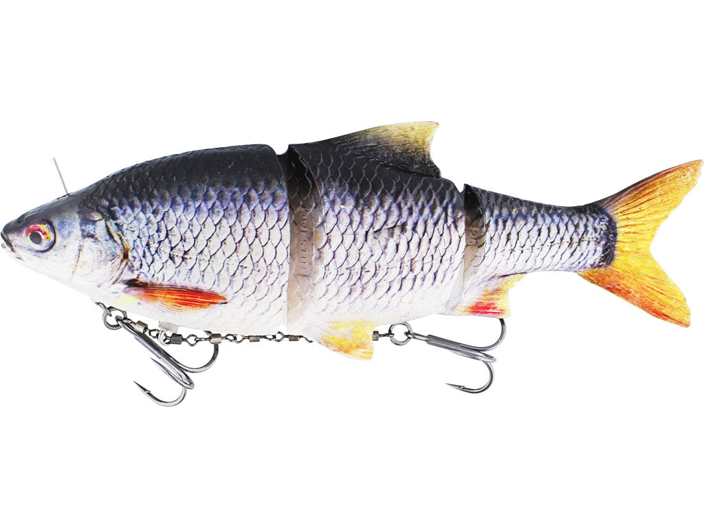 Ricky the Roach inline REAL ROACH / 15 CM / 52 GRAM