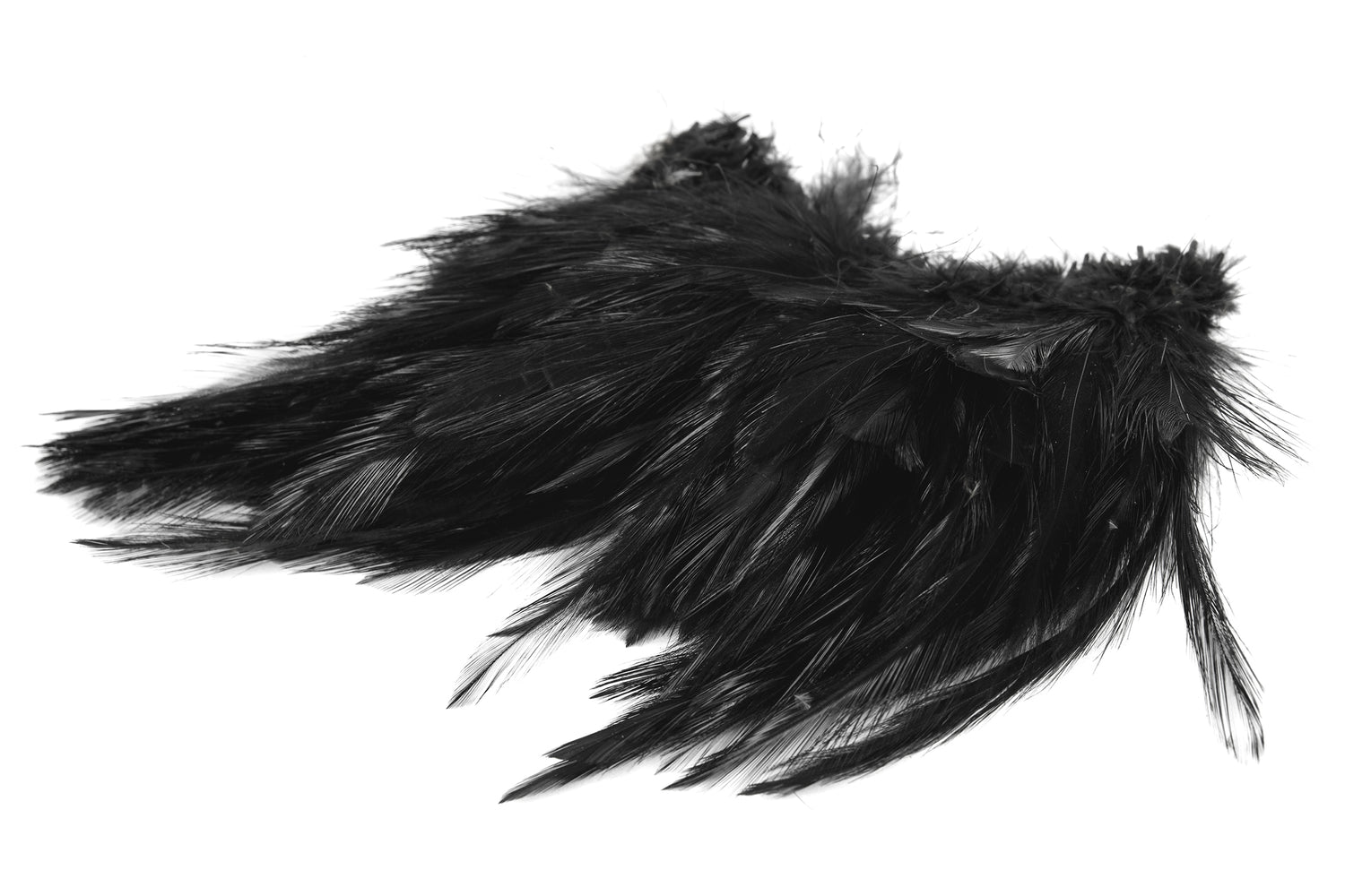 Saltwater Neck Hackle