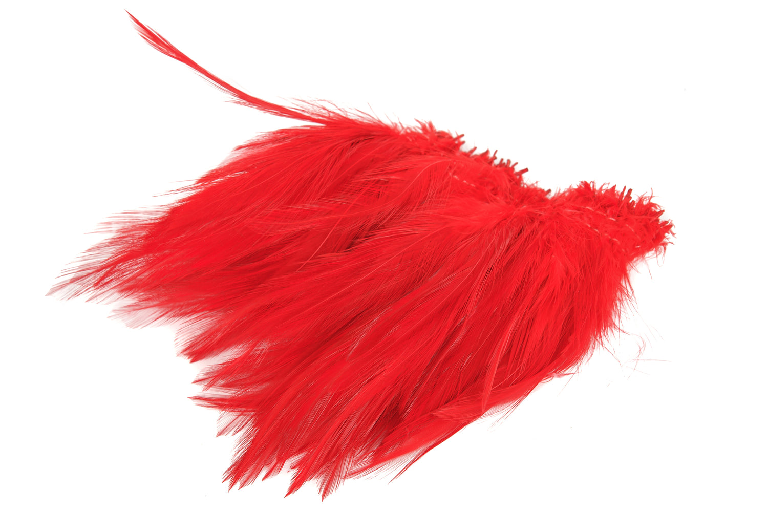 Saltwater Neck Hackle