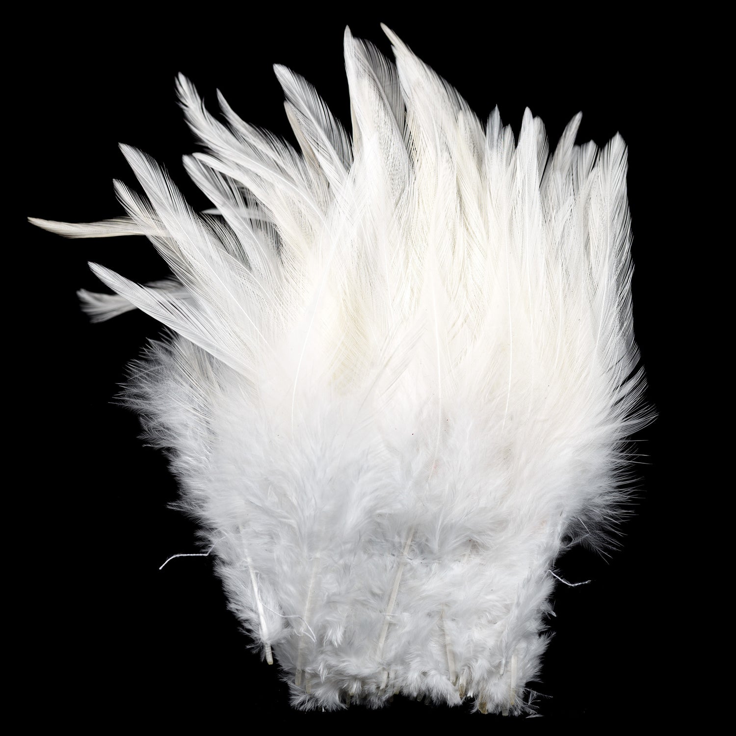 Strung Saddle Hackle