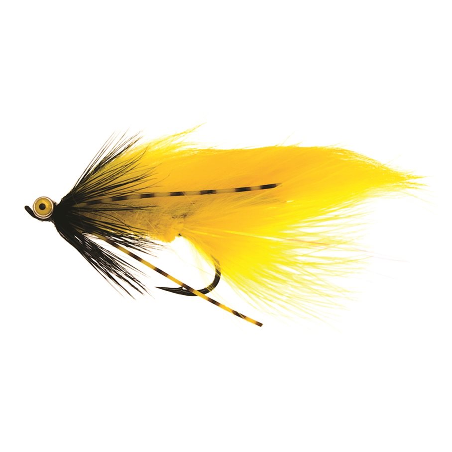 Zonky Stl 6 YELLOW / EN STL