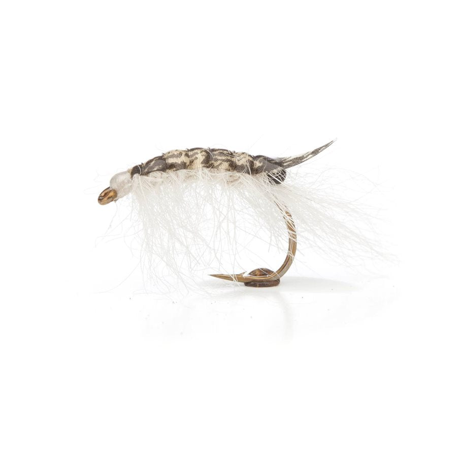 Mysis Special Stl 6 WHITE / EN STL
