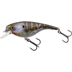 Babybite Shallow Runner 12 g 6,5 cm Wobbler CRAZY BLUEGILL / EN STL